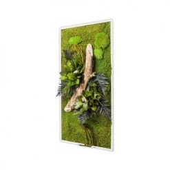 Naturalys Plantes D'intérieur Et Fleurs D'intérieur Tableau Végétal Stabilisées Nature Rectangle 57 X 97 Cm