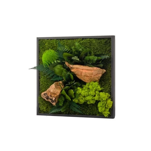 Naturalys Plantes D'intérieur Et Fleurs D'intérieur Tableau Végétalisé Carré Noir 35x35cm 1 Naturalys Plantes D'intérieur Et Fleurs D'intérieur Tableau Végétalisé Carré Noir 35x35cm