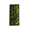 Naturalys Plantes D'intérieur Et Fleurs D'intérieur Tableau Végétalisé Rectangle L Noir 40x90cm
