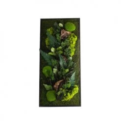 Naturalys Plantes D'intérieur Et Fleurs D'intérieur Tableau Végétalisé Rectangle L Noir 40x90cm
