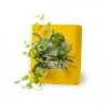 Wall Flower Plantes D'intérieur Et Fleurs D'intérieur Tableau Végétalisé S Métal édition Jaune 34x32cm