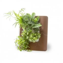 Wall Flower Plantes D'intérieur Et Fleurs D'intérieur Tableau Végétalisé S Métal édition Rouille 34x32cm