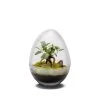 Naturalys Plantes D'intérieur Et Fleurs D'intérieur Terrarium Kit Diplo M