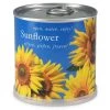 Mac Flower's Plantes D'intérieur Et Fleurs D'intérieur Tournesol à Faire Pousser En Boite