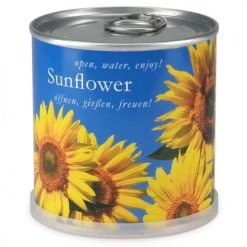 Mac Flower's Plantes D'intérieur Et Fleurs D'intérieur Tournesol à Faire Pousser En Boite