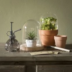 Maisons Du Monde Objets Déco De Jardin Vaporisateur Pour Plantes En Verre Teinté Gris -Plantes vertes Soldes vaporisateur pour plantes en verre teinte gris 1000 14 13 190499 2
