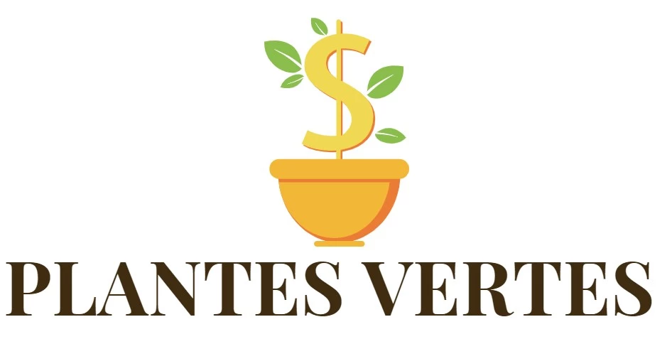Plantes vertes Soldes